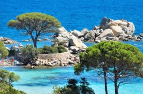 info corse